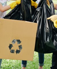 Volunteers sorting trash they collected in park and filling cardboard box for recycling and plastic bags for dump